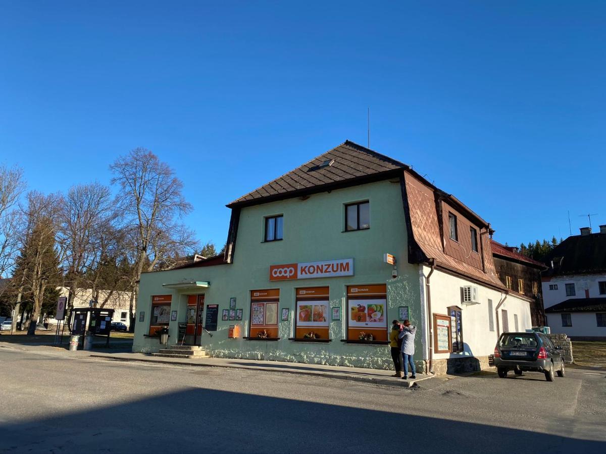 Apartman U Lesa, Srni 119 Exteriör bild