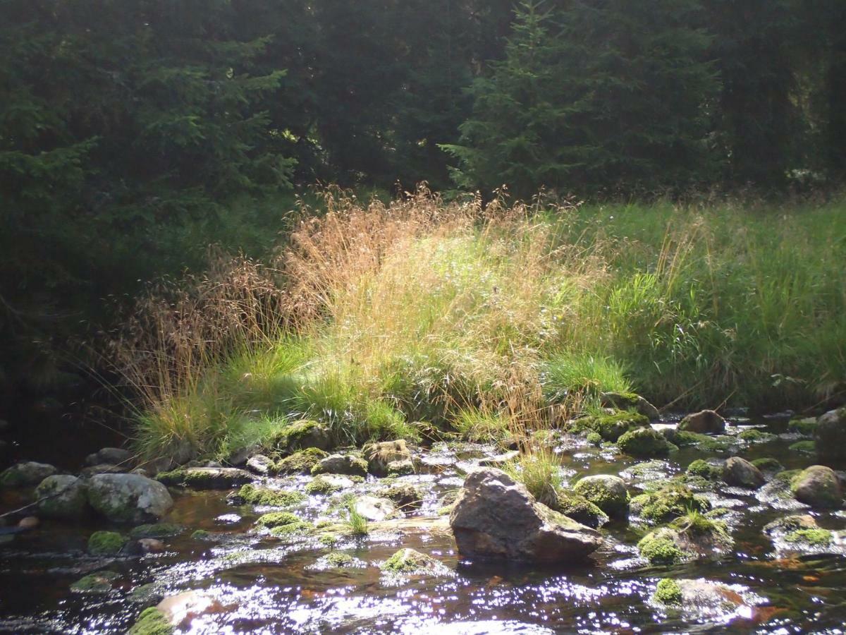 Apartman U Lesa, Srni 119 Exteriör bild
